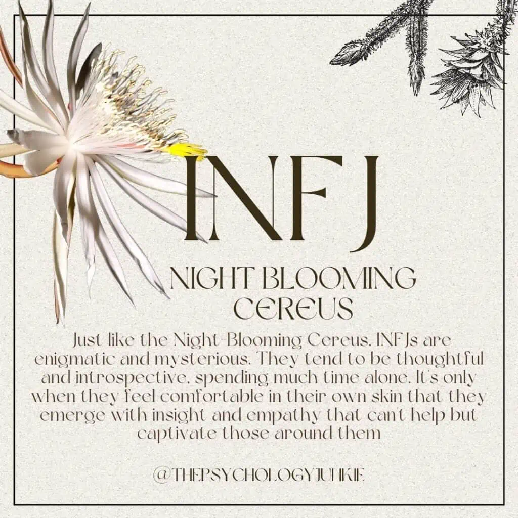 The flower that best represents the INFJ is the Night-Blooming Cereus. #INFJ #MBTI