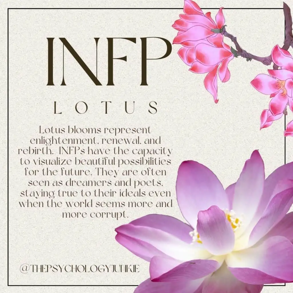 The flower for the INFP personality type is the Lotus. #INFP