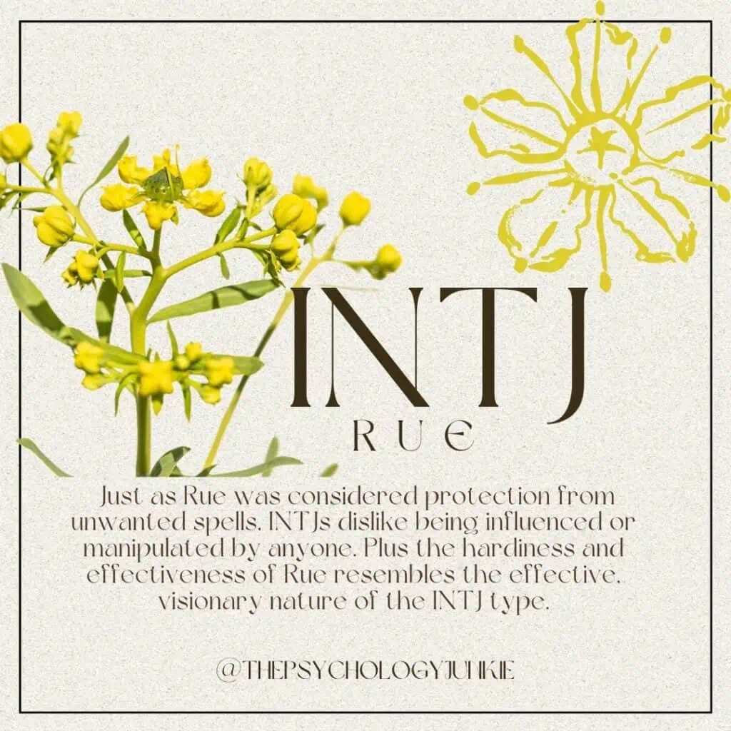 Rue is the best flower to represent the INTJ personality type. #INTJ