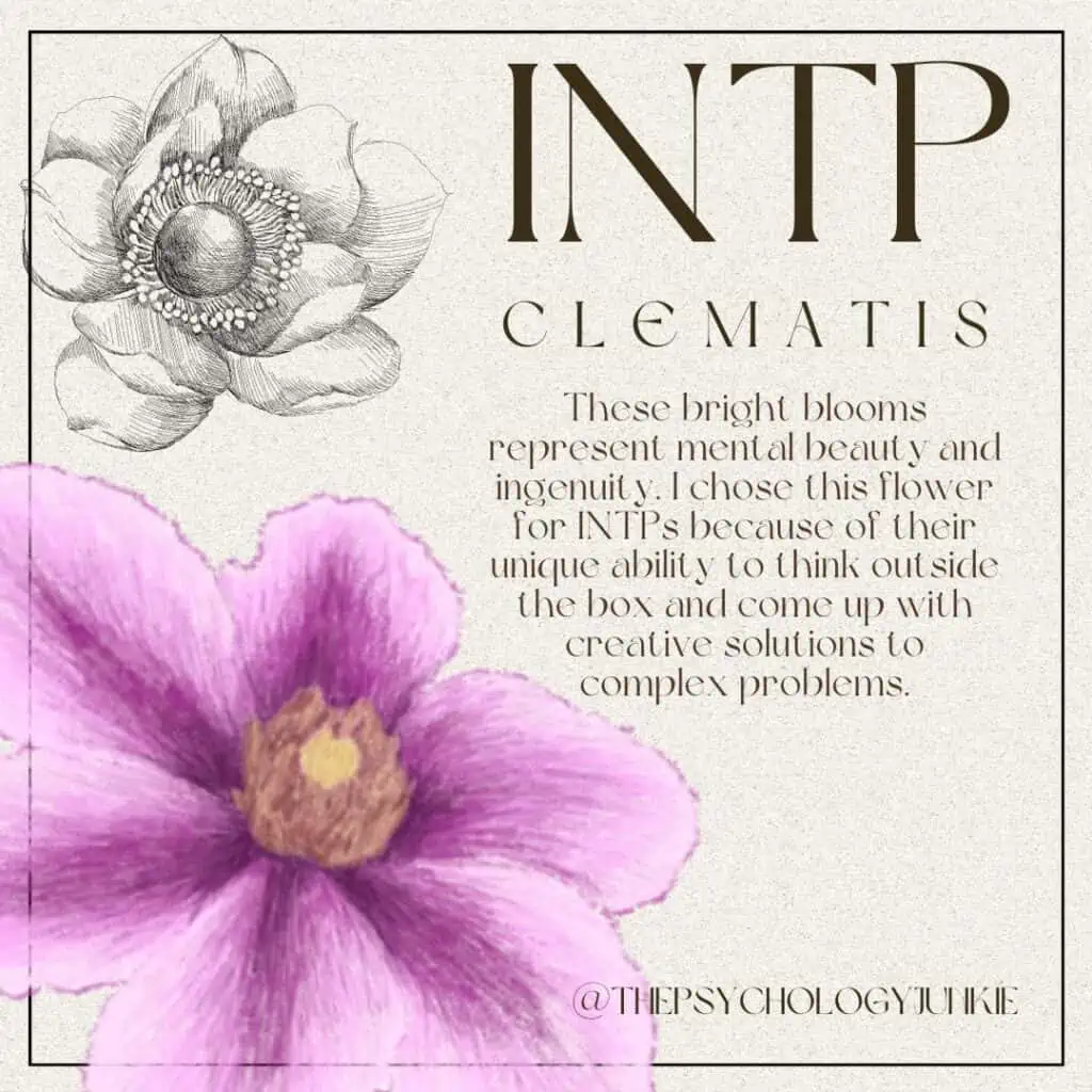 The INTP flower is Clematis