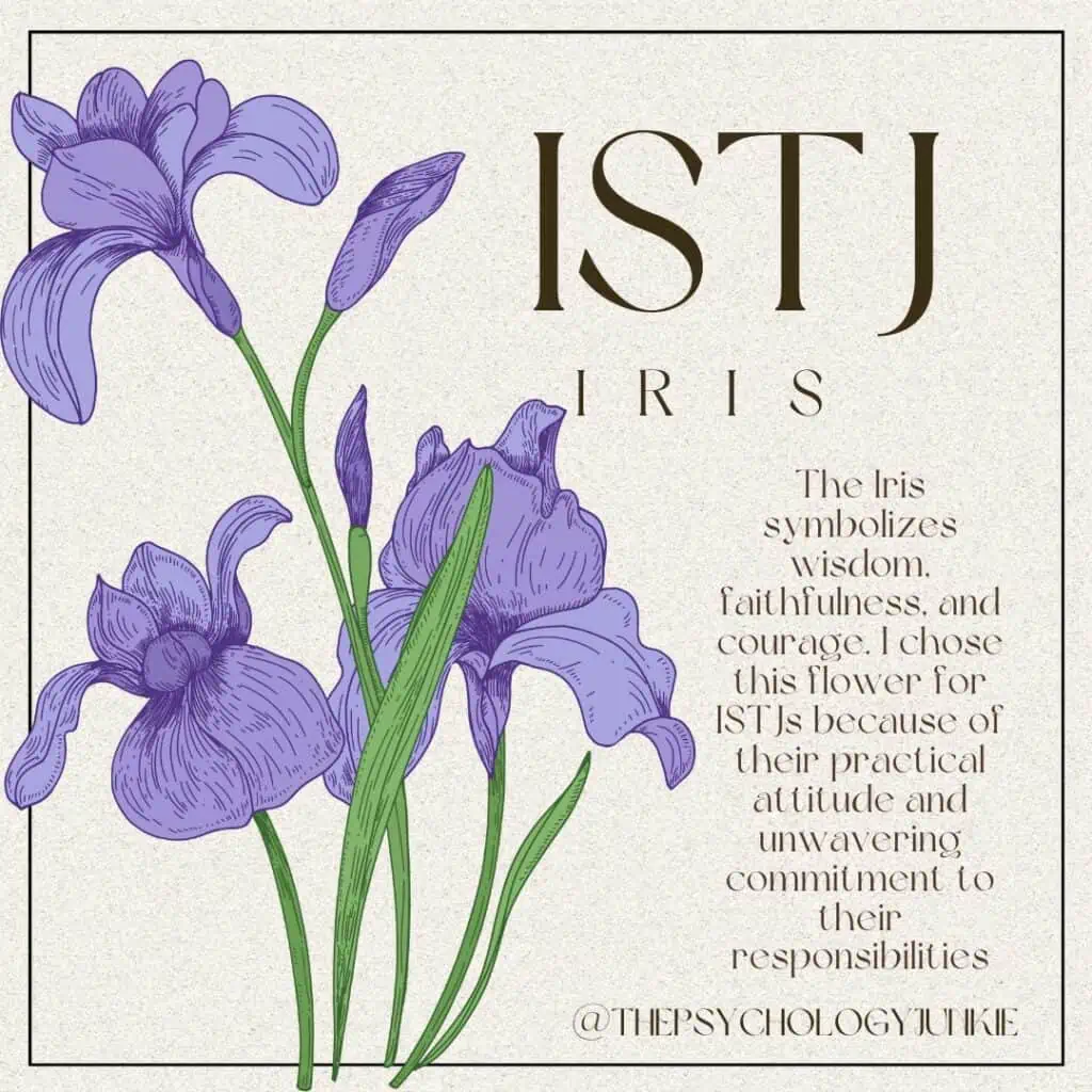 ISTJ flower choice is the Iris