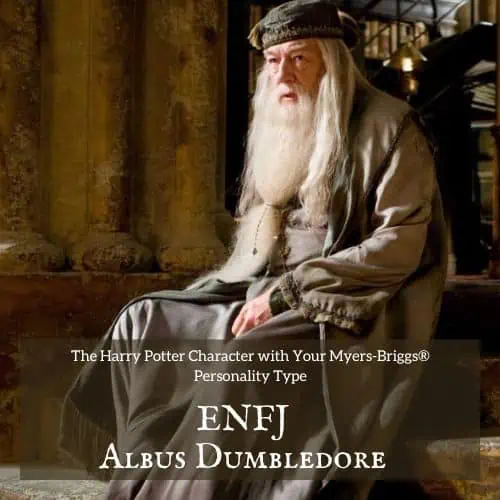 Harry Potter Characters as MBTI Types : r/harrypotter