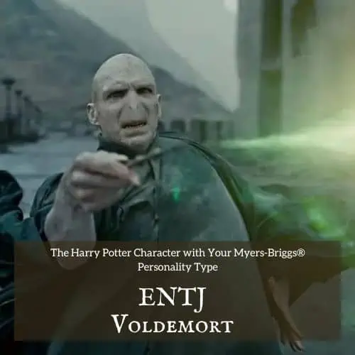 Lord Voldemort is an ENTJ