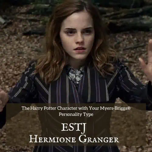Harry Potter Pscyhology: MBTI : r/harrypotter