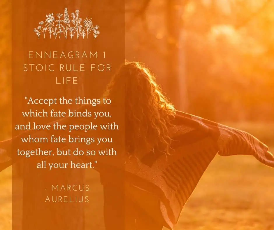 Enneagram 1 stoic quote