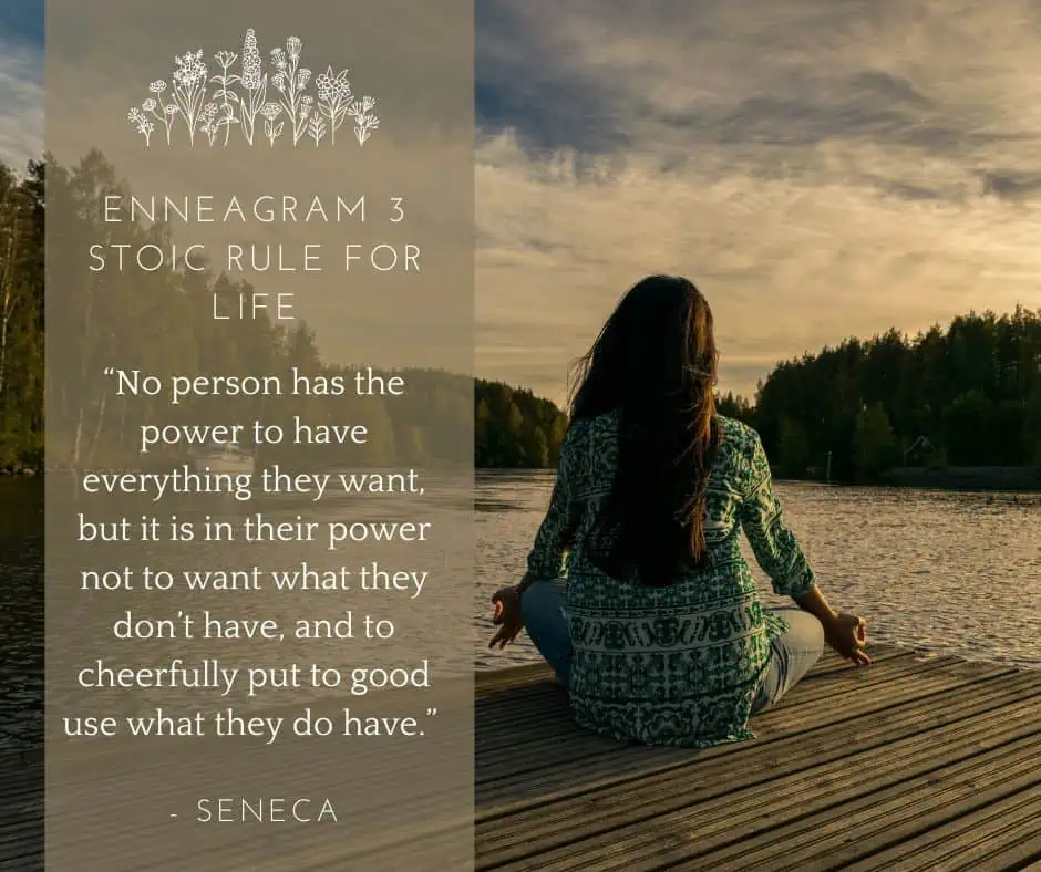 Enneagram 3 Quote by Seneca