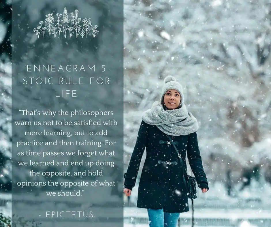 Enneagram 5 quote by Epictetus