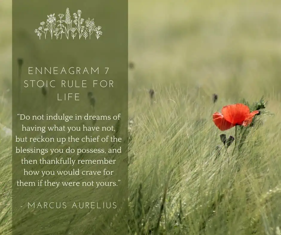Enneagram 7 Marcus Aurelius quote