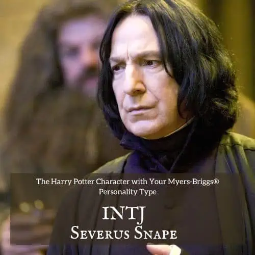 Harry Potter Characters as MBTI Types : r/harrypotter