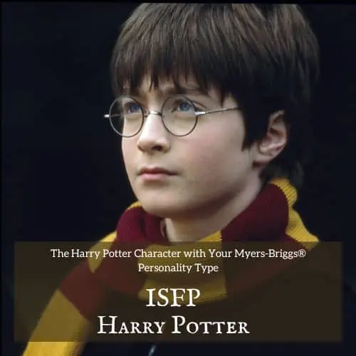 Harry Potter MBTI Chart Myers-Briggs Type Indicator (MBTI