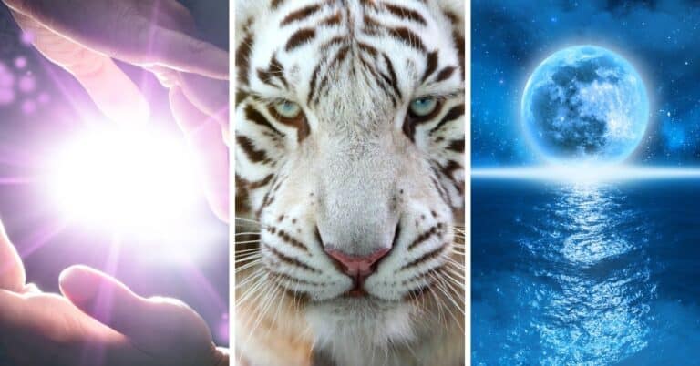 Are ISFP Personality Types Rare? Find out! #MBTI #ISFP