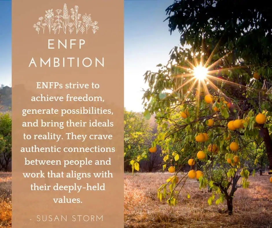 ENFP ambition