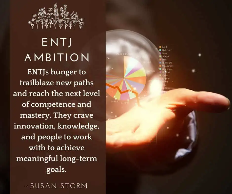 ENTJ ambition