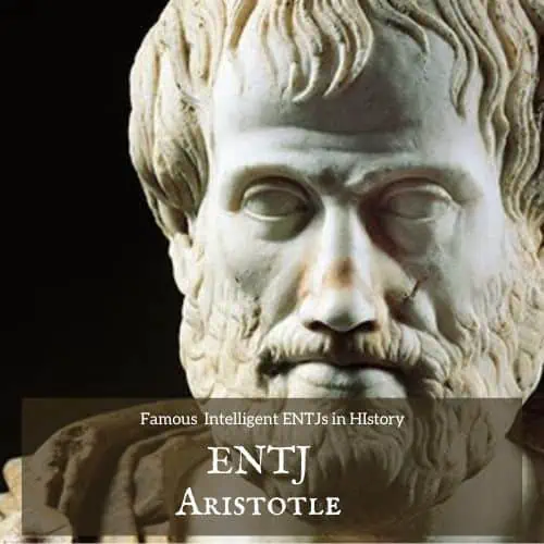 ENTJ Aristotle