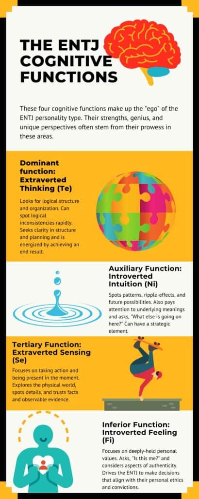 A look at the ENTJ's cognitive functions