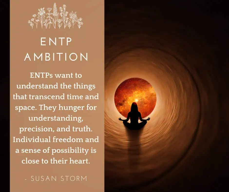 ENTP ambition