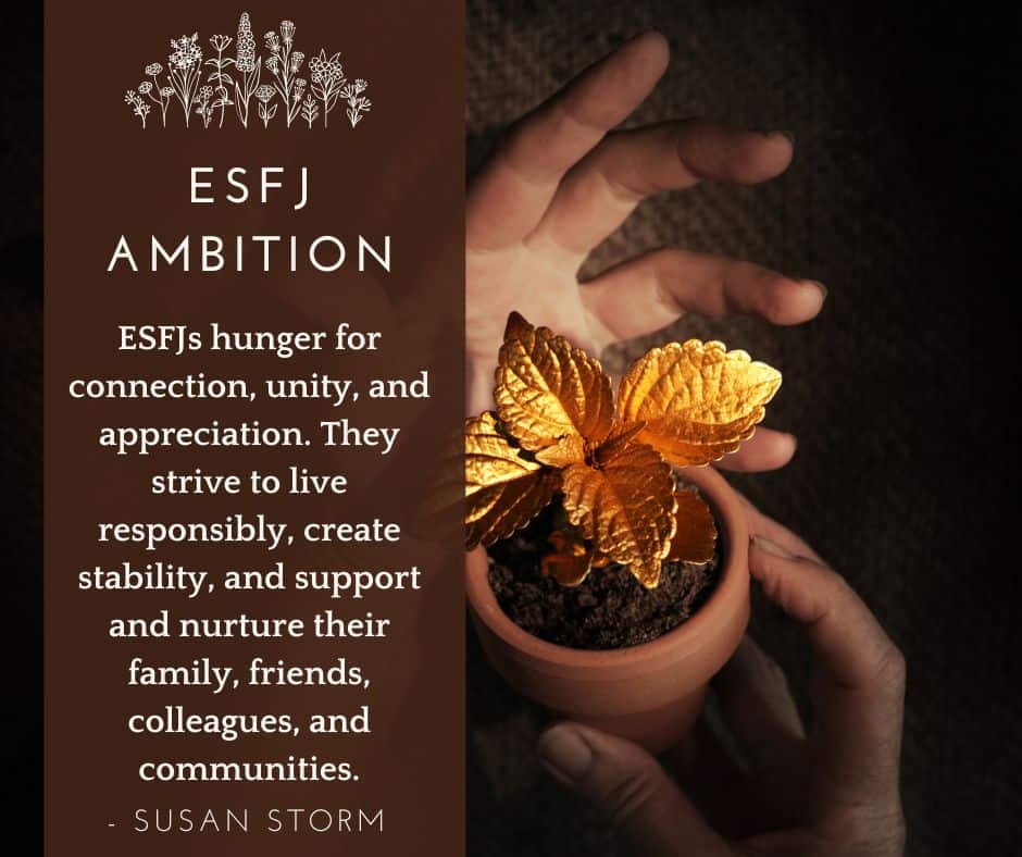 ESFJ Ambition
