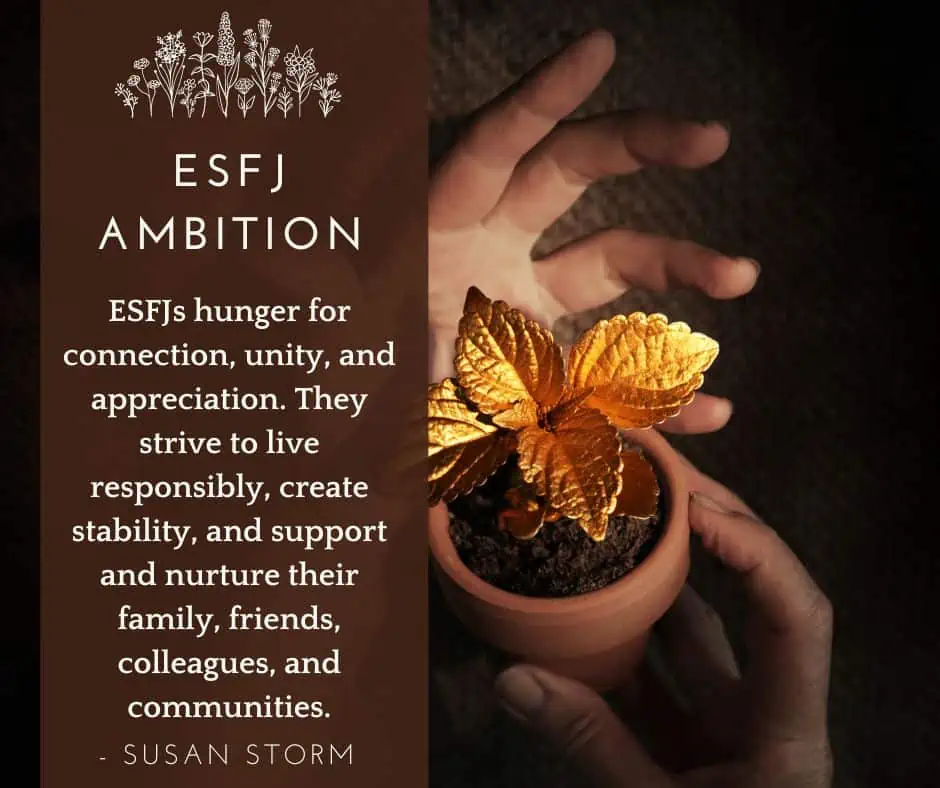 ESFJ Ambition