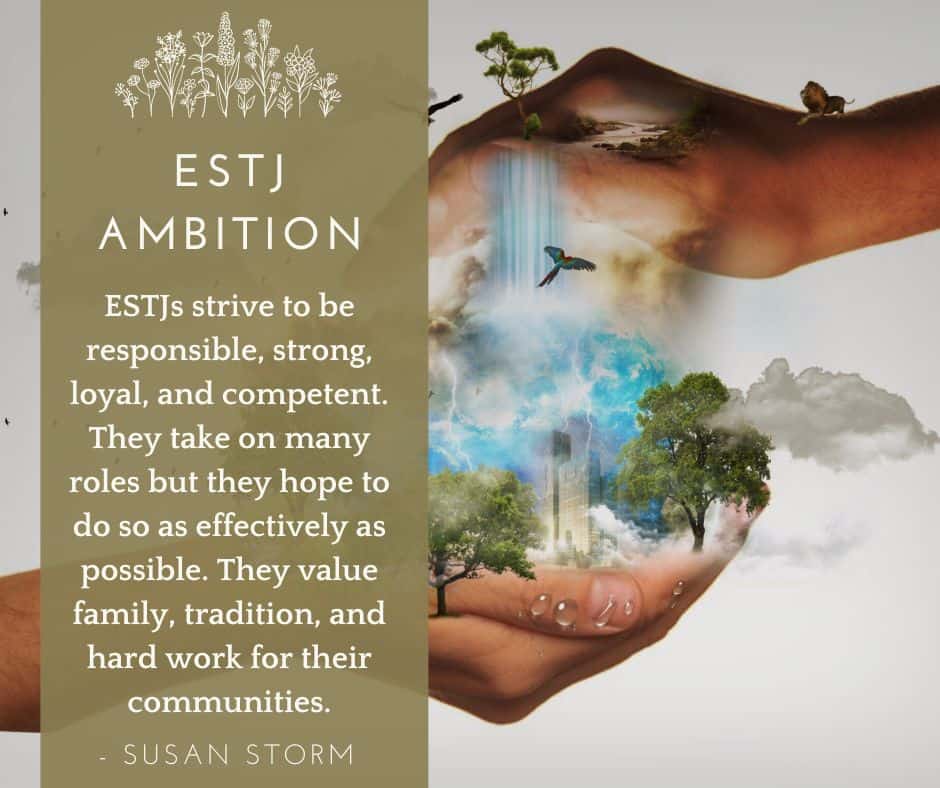 ESTJ ambition