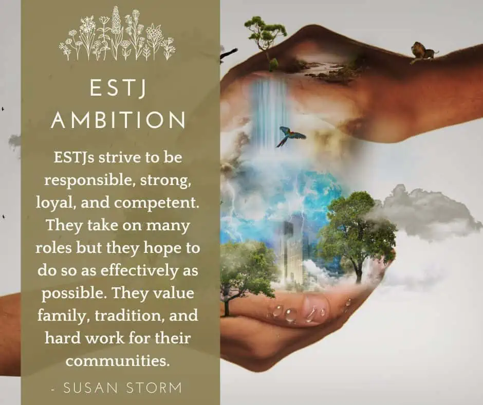 Smart & Ambitious: See 25 Sure Signs of the Personality INTJ