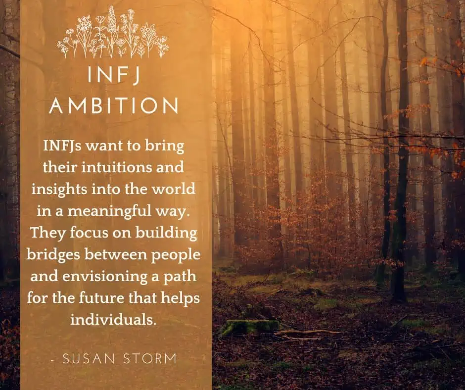 INFJ ambition