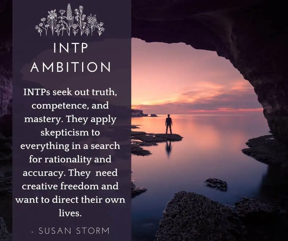 INTP ambition