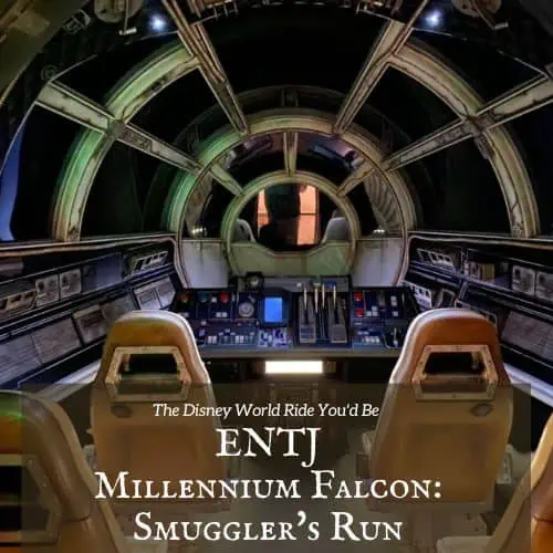 ENTJ Millennium Falcon: Smugglers Run