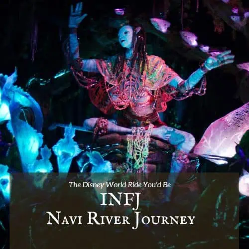 INFJ Navi River Journey