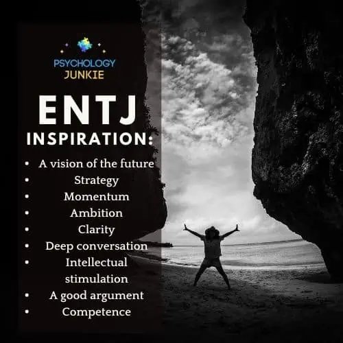 ENTJ inspiration needs