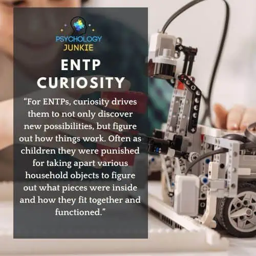 ENTP curiosity