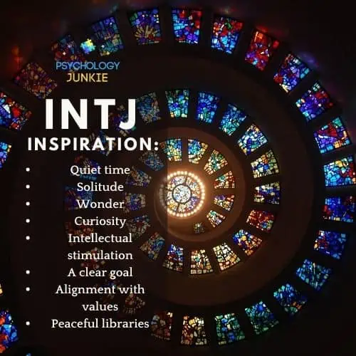 The Courageous Architect (INTJ)