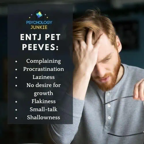 ENTJ pet peeves