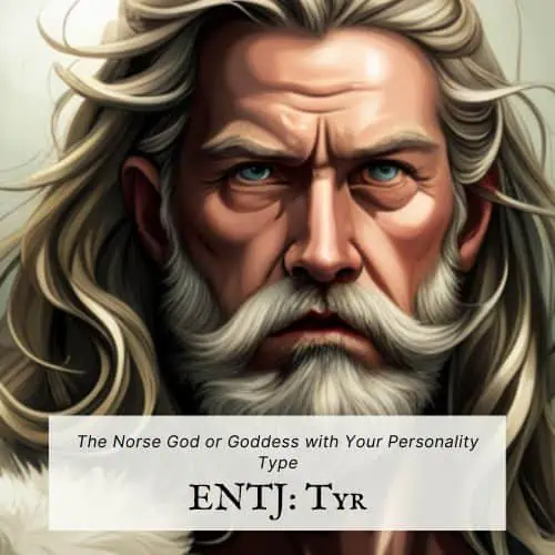 Odin MBTI Personality Type: ENTJ or ENTP?