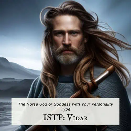 Odin Personality Type, MBTI - Which Personality?