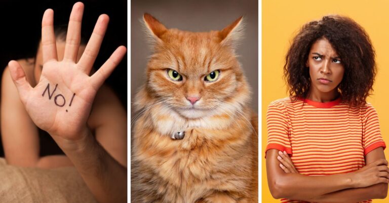 Discover why the 16 Myers-Briggs® personality types are mad at you. #MBTI #Personality #INFP