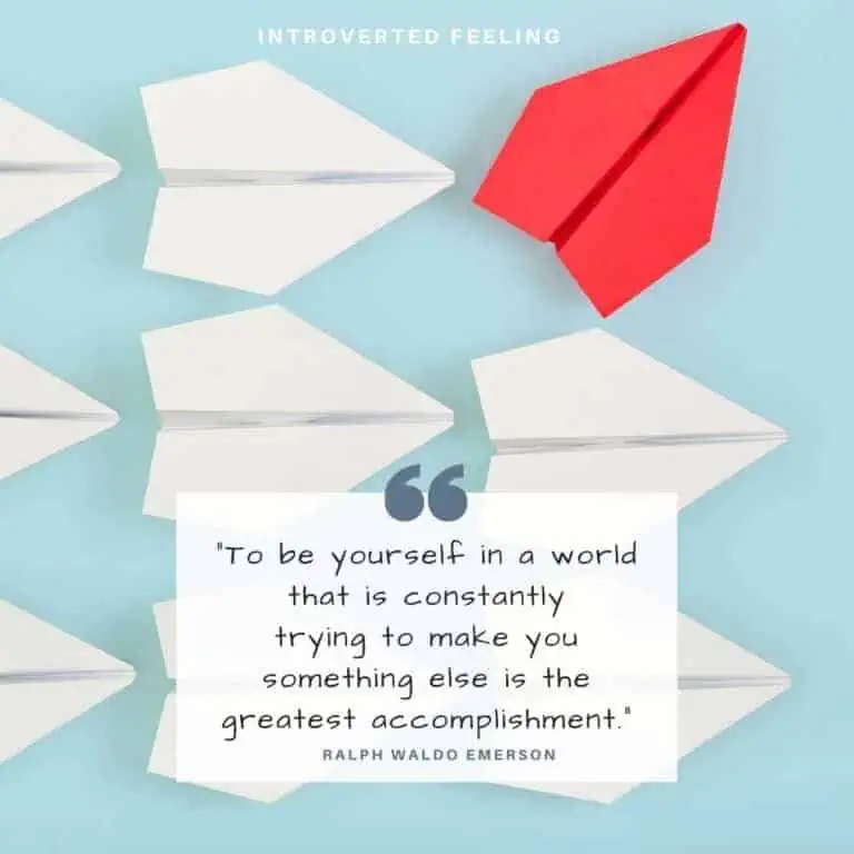 Introverted Feeling cognitive function