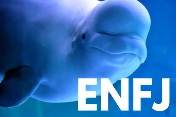 ENFJ is the Beluga Whale