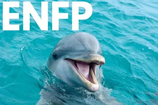 ENFP is a dolphin