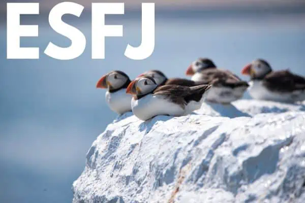 ESFJs are puffins