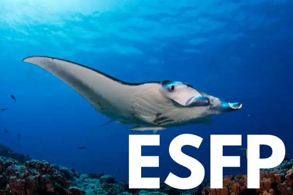 ESFP Manta Ray