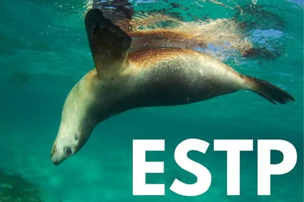 ESTP is the sea lion