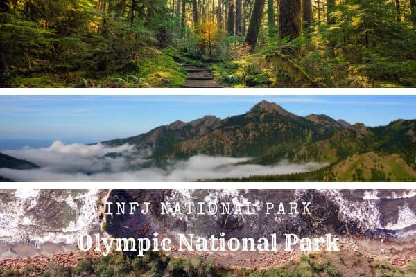 INFJs should travel to Olympic National Park
