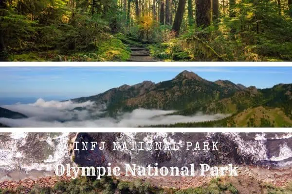 INFJs should travel to Olympic National Park