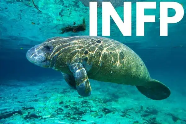 INFP is the manatee