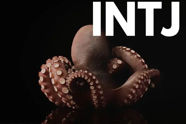 INTJ octopus