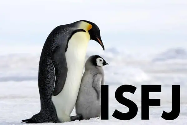 ISFJ penguin