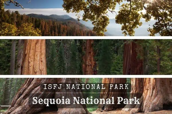 ISFJs should visit Sequoia National Park