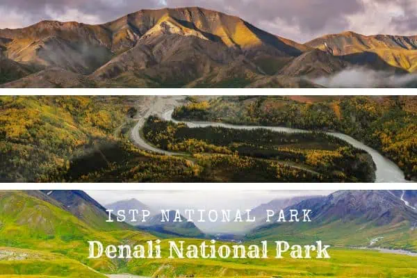 ISTPs should visit Denali National Park