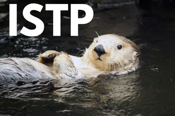 ISTP is the sea otter