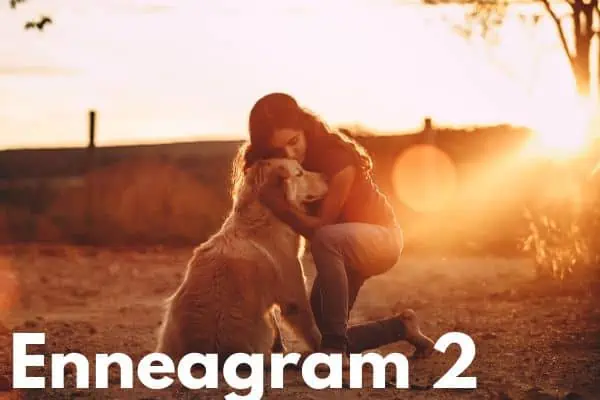 Enneagram 2 is the golden retriever